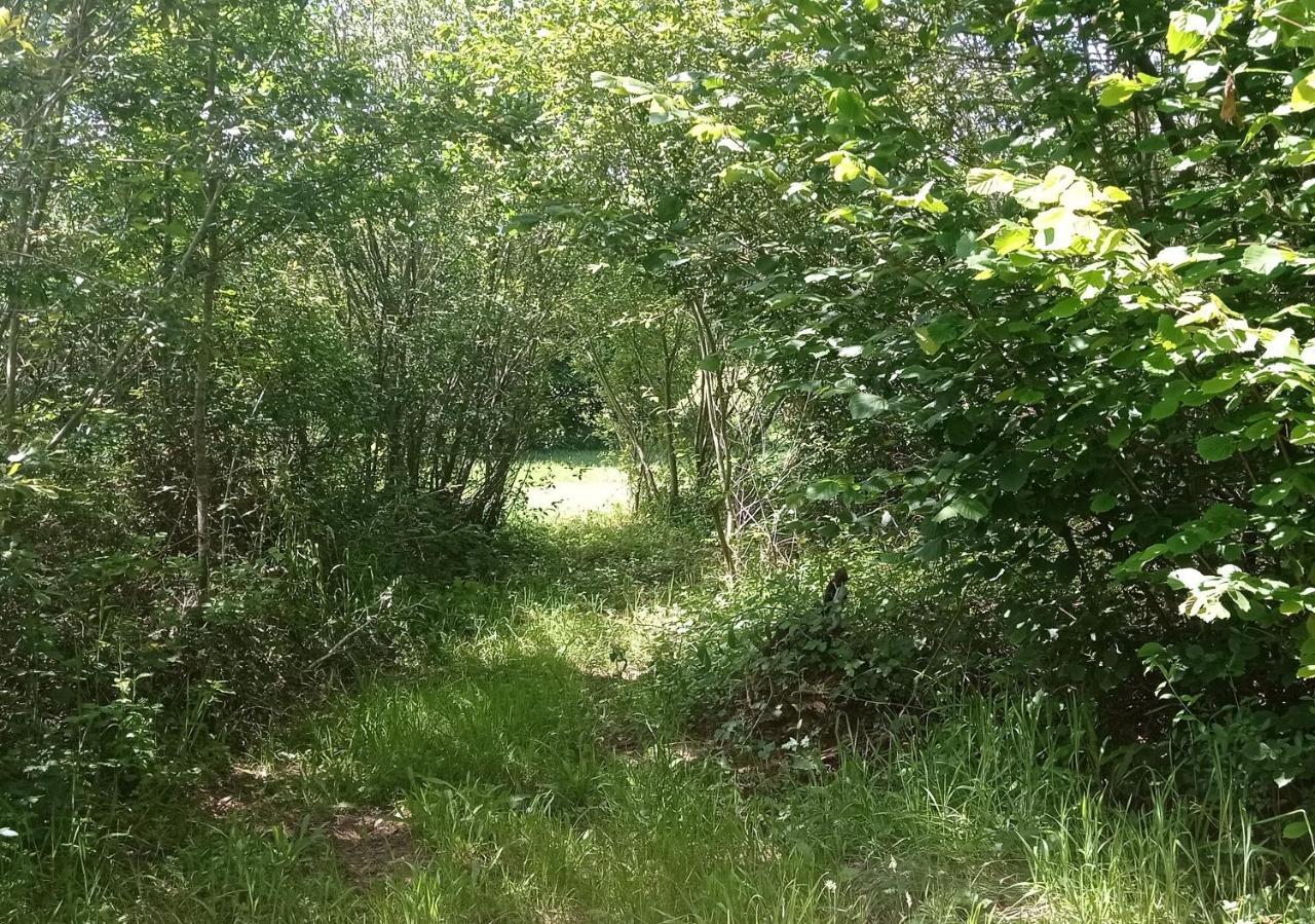 Tente Safari Lodge Dans Foret Luxuriante Vielle-Tursan Kültér fotó